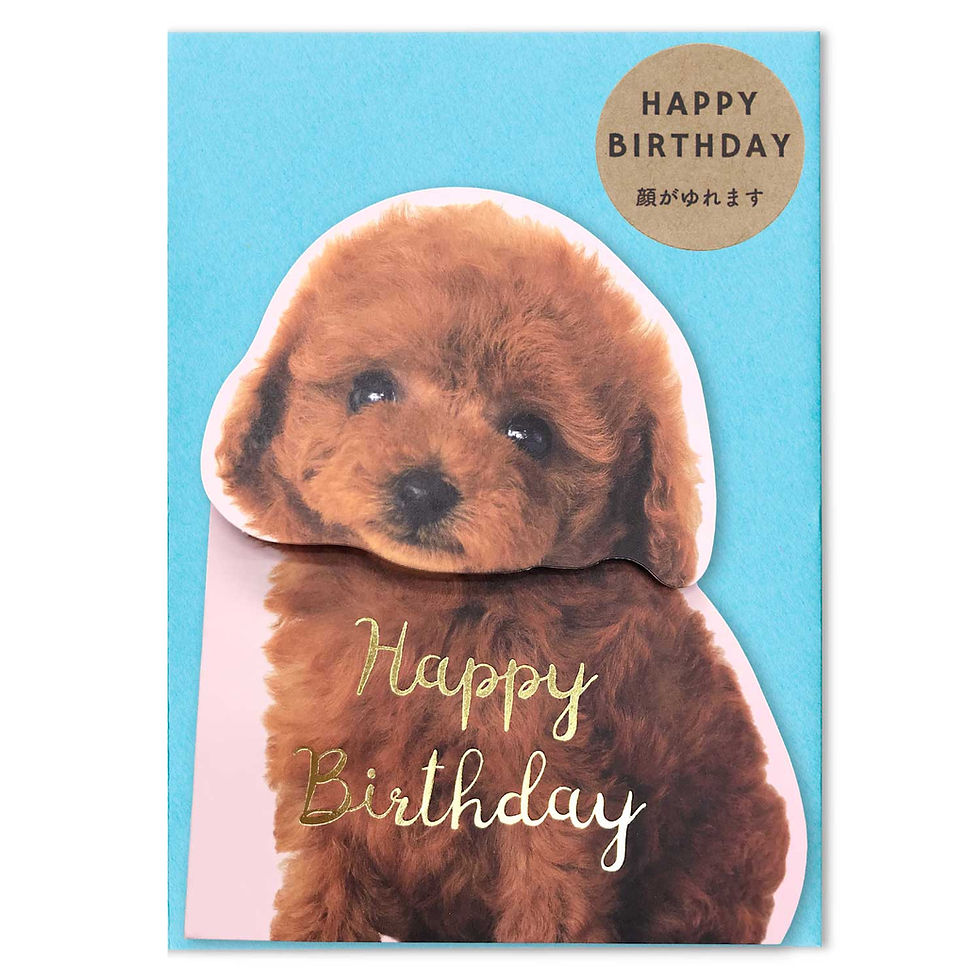 Toy Poodle Birthday