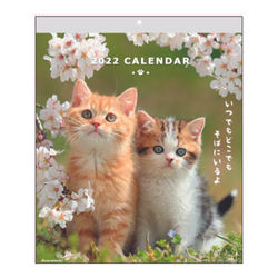 Cat wall calendar 2022