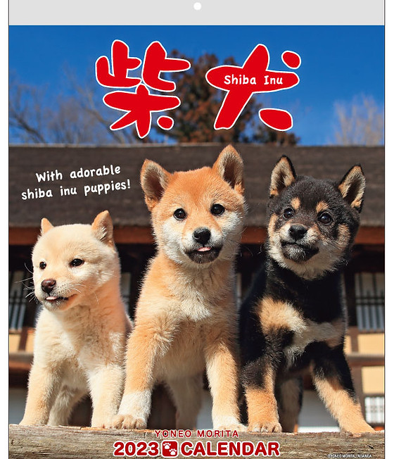 Shiba Inu Calendars 2023| Wall and Desktop Calendars with Shiba Ken Puppy  Pictures