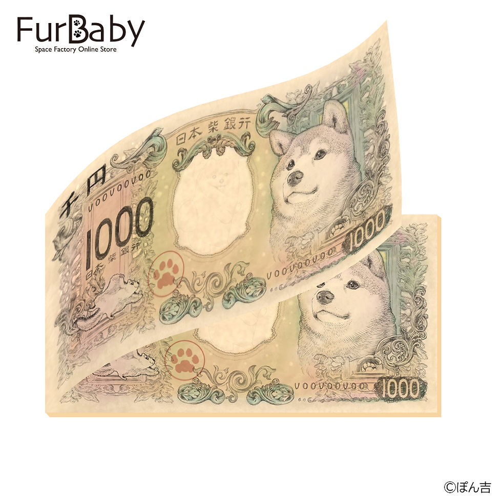 Shiba Inu 1000 Yen