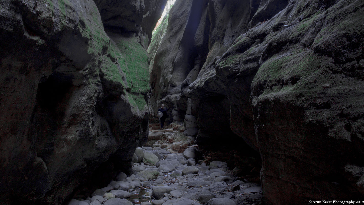 Carnarvon Gorge - Central Highlands Queensland