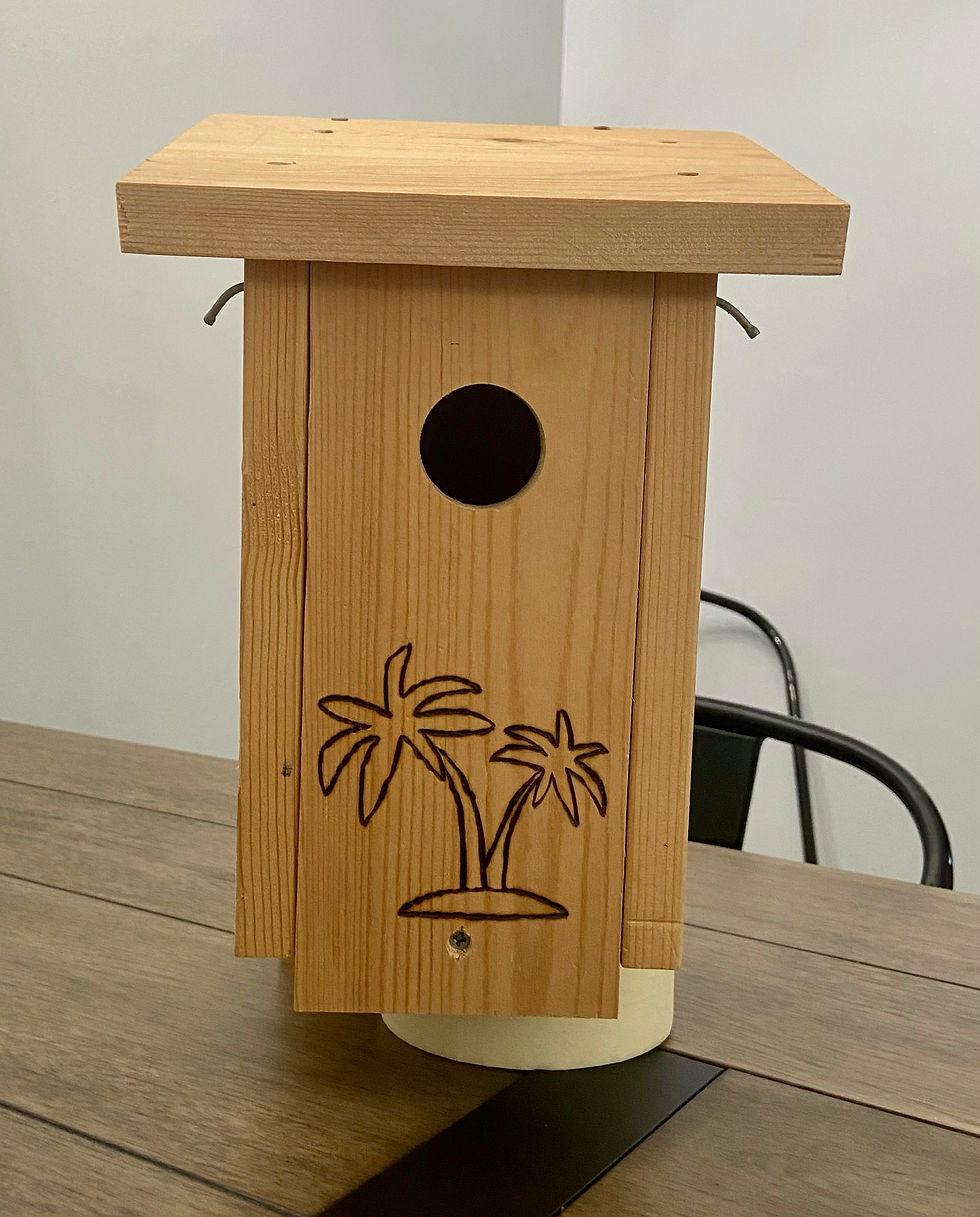 Thumbnail: Birdhouse - The Original Bluebird House