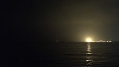 2017年7月30日　　　旧ブログ　釣果報告（アジ、イワシ、トウゴロウイワシ）富津新港