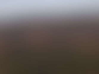 It's the Wild Man of Skye