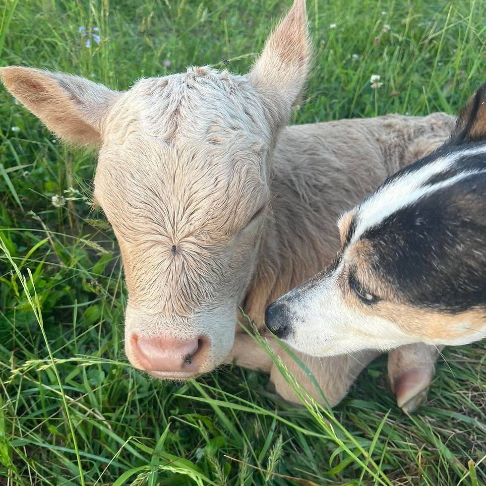 Peanut_and_Trixie.jpg