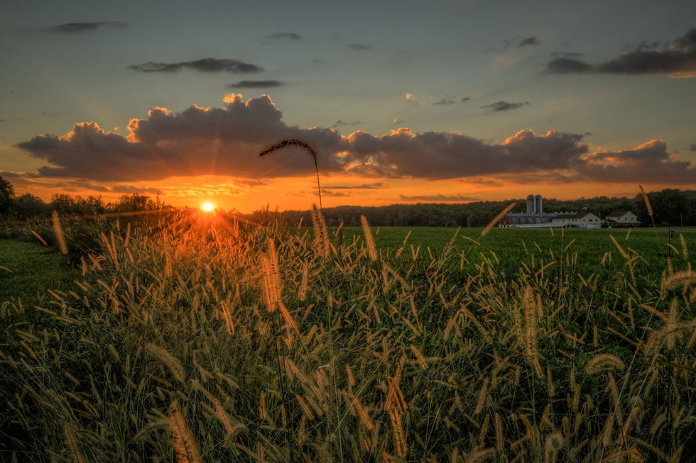 Sadsbury Woods sunset.jpg