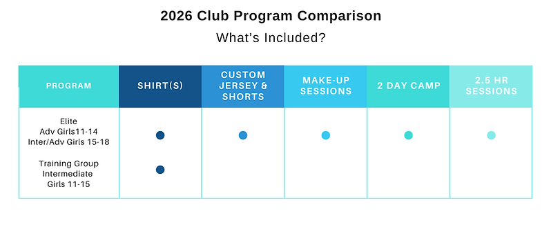 Visual Chart Page Iteration.png