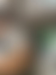 Keep Your Home Safe and Pest-Free with Reliable Solutions in the West