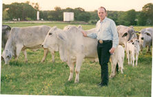 Ernest Cannon with cow at J Bar F Ranch