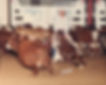 Fort Worth Star - Telegram Will Rogers Futurity 1990