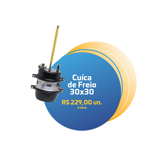 CUICA.png