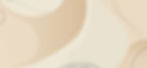 Banner Princ.jpg