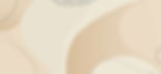 Banner Princ Ver 1.jpg