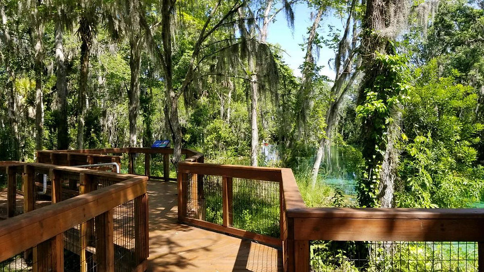 Three Sisters Springs , FL