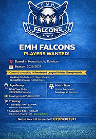 EMH Falcons U15 Players Wanted.jpg