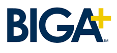 bigaplus_logo.gif