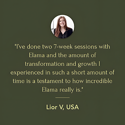 Testimonial from client Lior V. - GA, USA