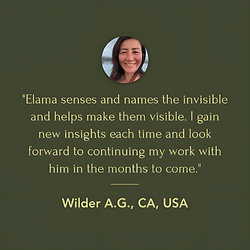 Testimonial from client Wilder A.G. - CA, USA