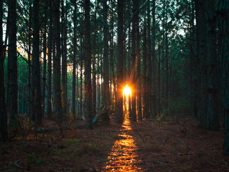 Fear of Visibility as a Healer: Why Sharing Your Gifts Can Feel So Difficult