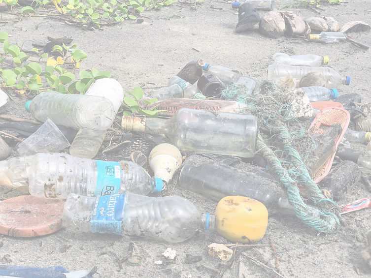 Plastic Pollution, India_edited_edited.jpg