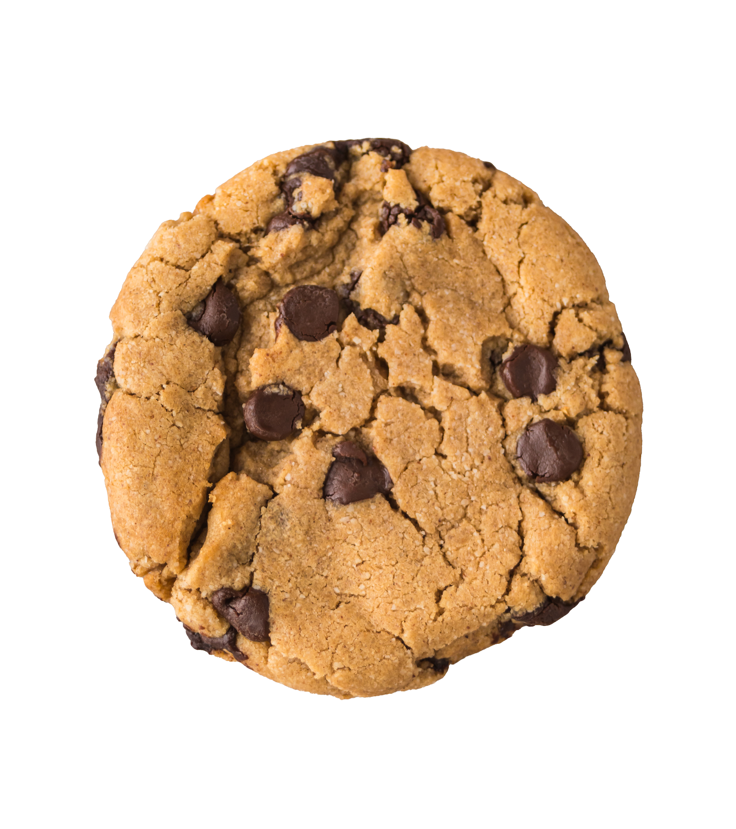 GF & DF Semi-Sweet Chocolate Chip Cookie