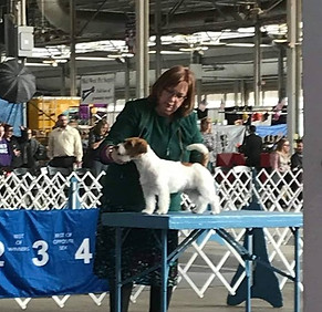 duke 6_edited_edited.jpg