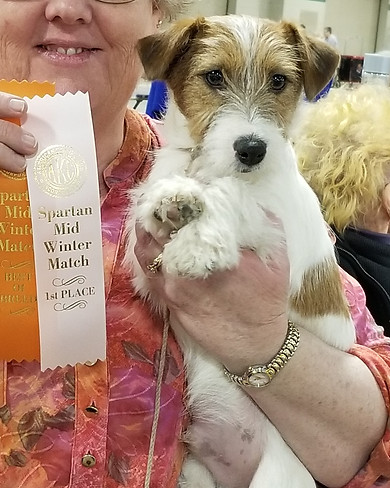 Chedder Winning BOB.jpg