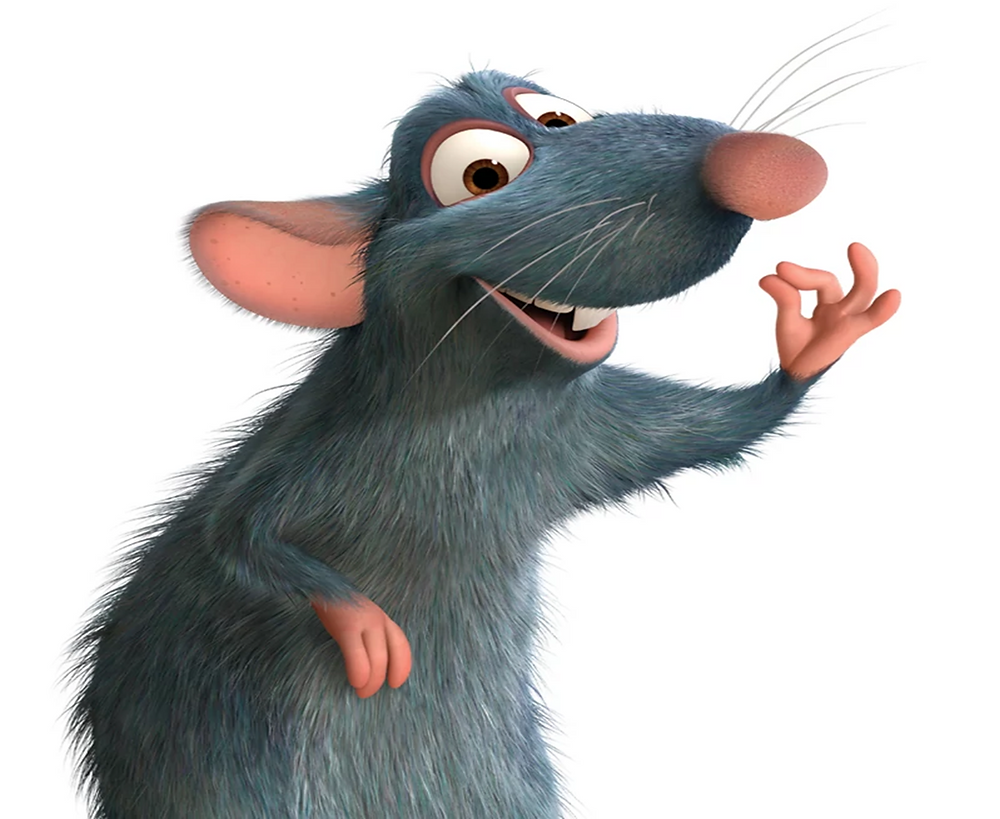 Toril Raton Receita: Ratatouille