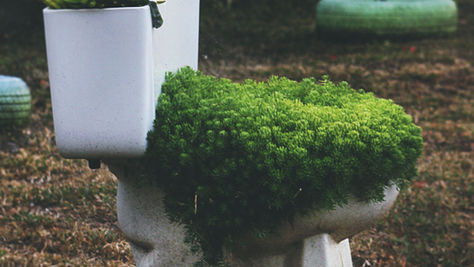 Why Do We Flush Toilets with Drinking Water?