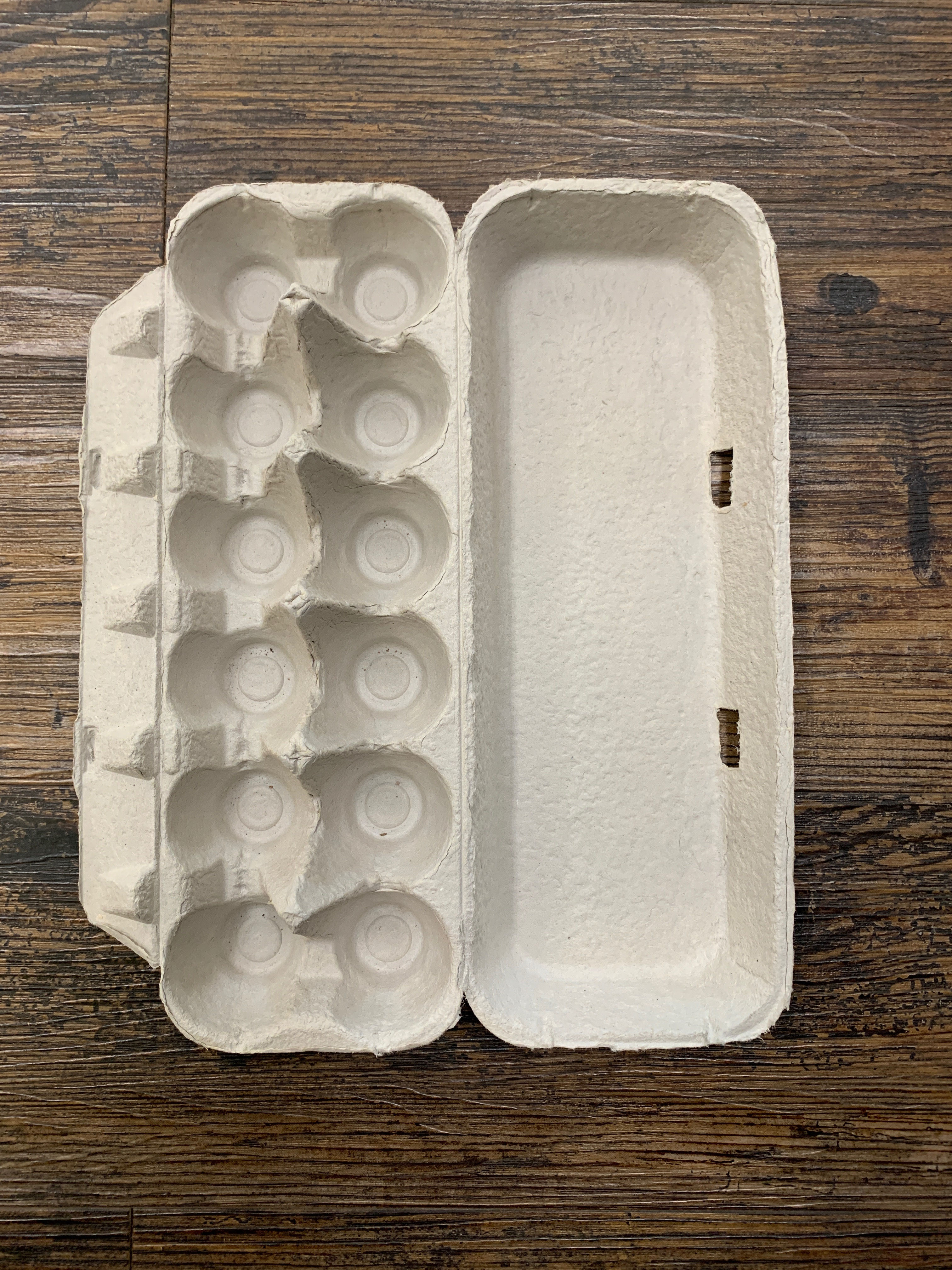 Egg Carton