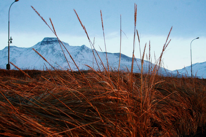 ​Skagaströnd, Iceland