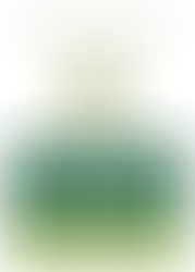 1° Convegno COER - L’Olio Extra Vergine di Oliva delle Terre dell’Emilia-Romagna