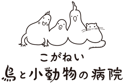 鳥の病院.gif