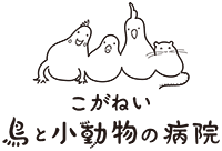 鳥の病院サムネ.gif