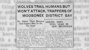Fifty Years at Moose Factory