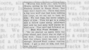 “Mister Wolf comes trailing”