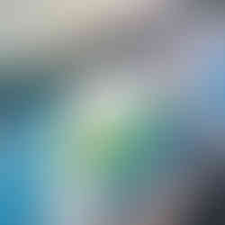 A researcher preparing amniotic membrane tissue transplants by precisely cutting the tissue placed over a squared green standard paper in a sterile lab.