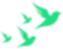 37_edited.png
