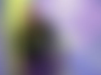 EPISÓDIO 02 - PERDÃO