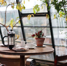 Coffee Shop