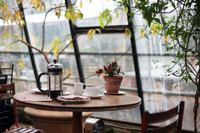 Cameo Club - Come And Meet Each Other!