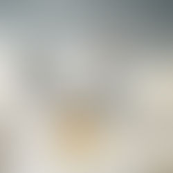 Samedi 8 juin 2019 : journée mondiale des Océans 