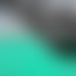 "1" Opération sentinelle 