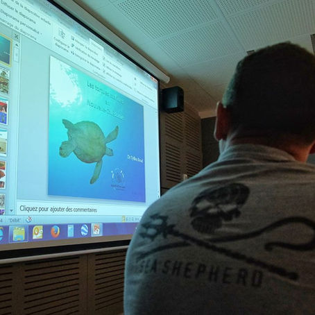 Formation gardes nature de la Province Sud