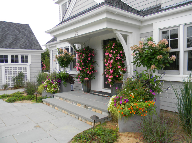 Bright and exuberant annuals
