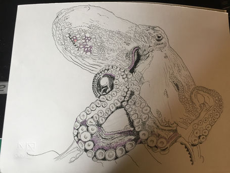 Evoluzioni delle specie (Polpo)