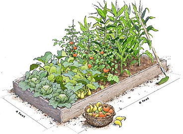 A picture of an outdoor raised bed container garden.