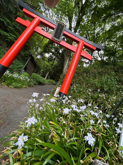 ひきめの滝(文:緒方かおり)