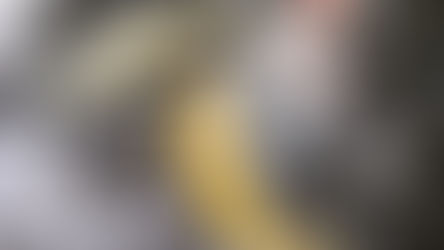 「はじめてのおつかい」参拝 (文:木下カナコ)