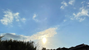 『母』 (文:藤本 森(しん))